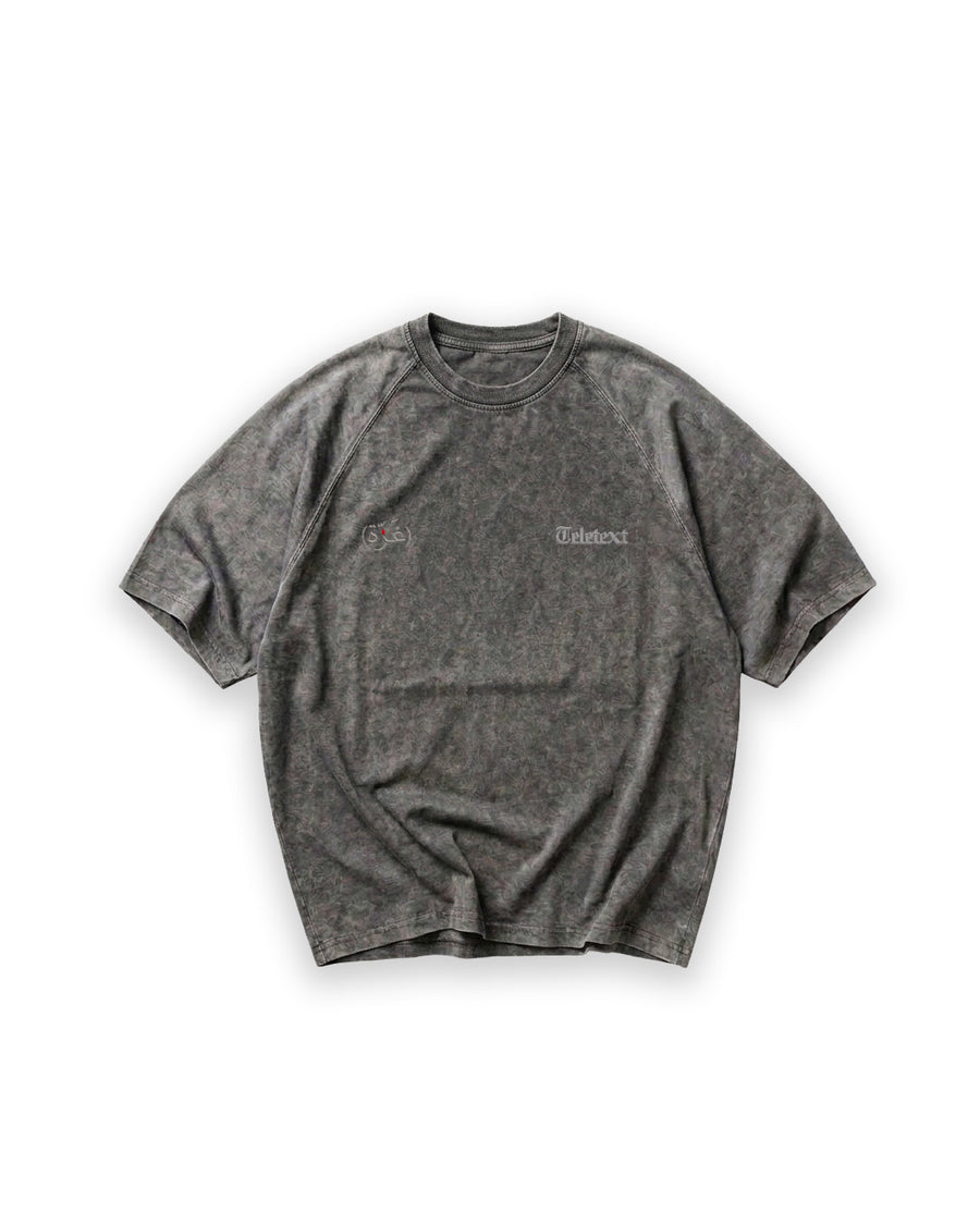 Gaza T-Shirt – Acid Grey