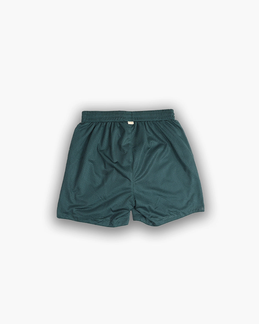 Mesh Shorts Ancient - Green