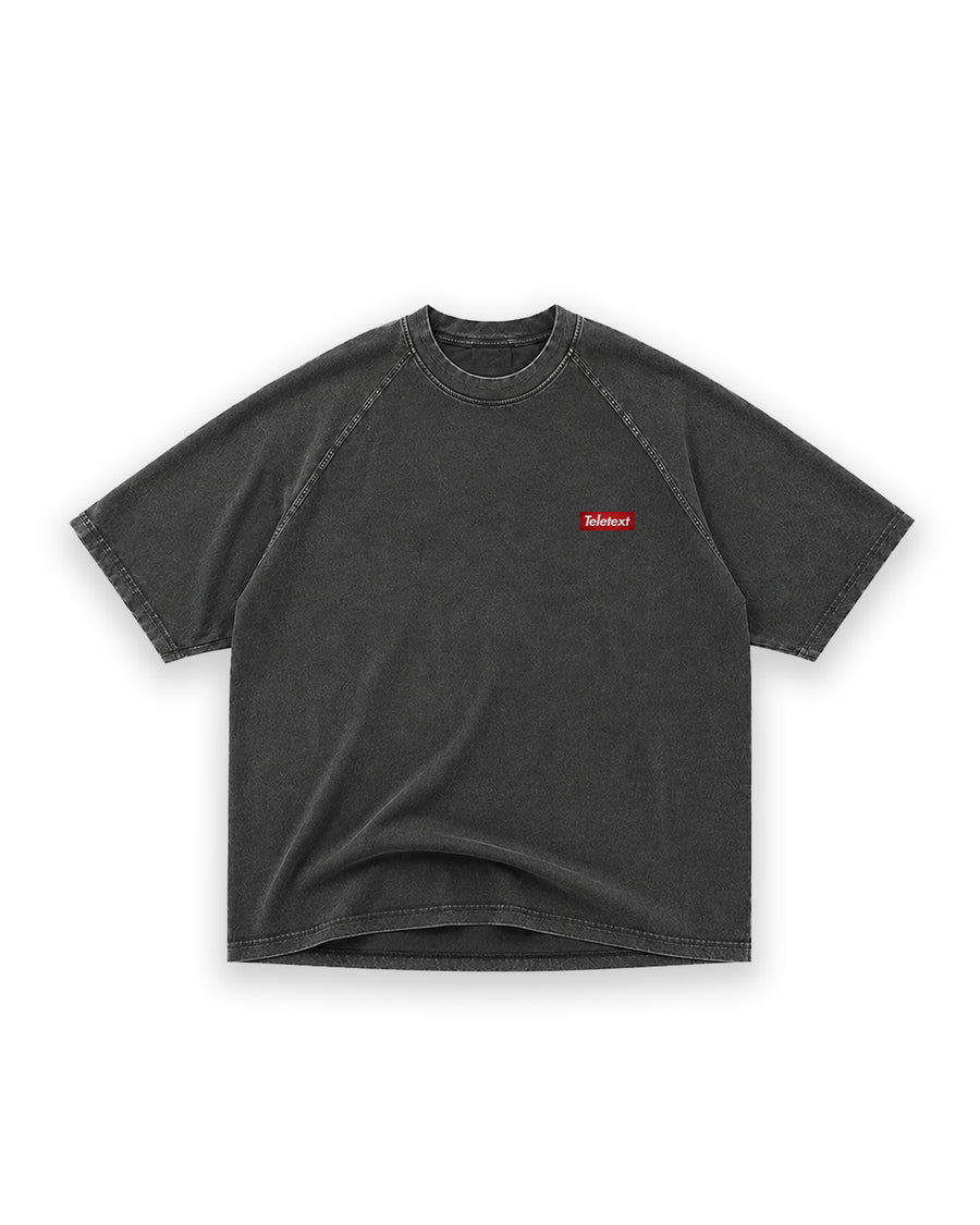 Small Logo T-Shirt – Acid Grey