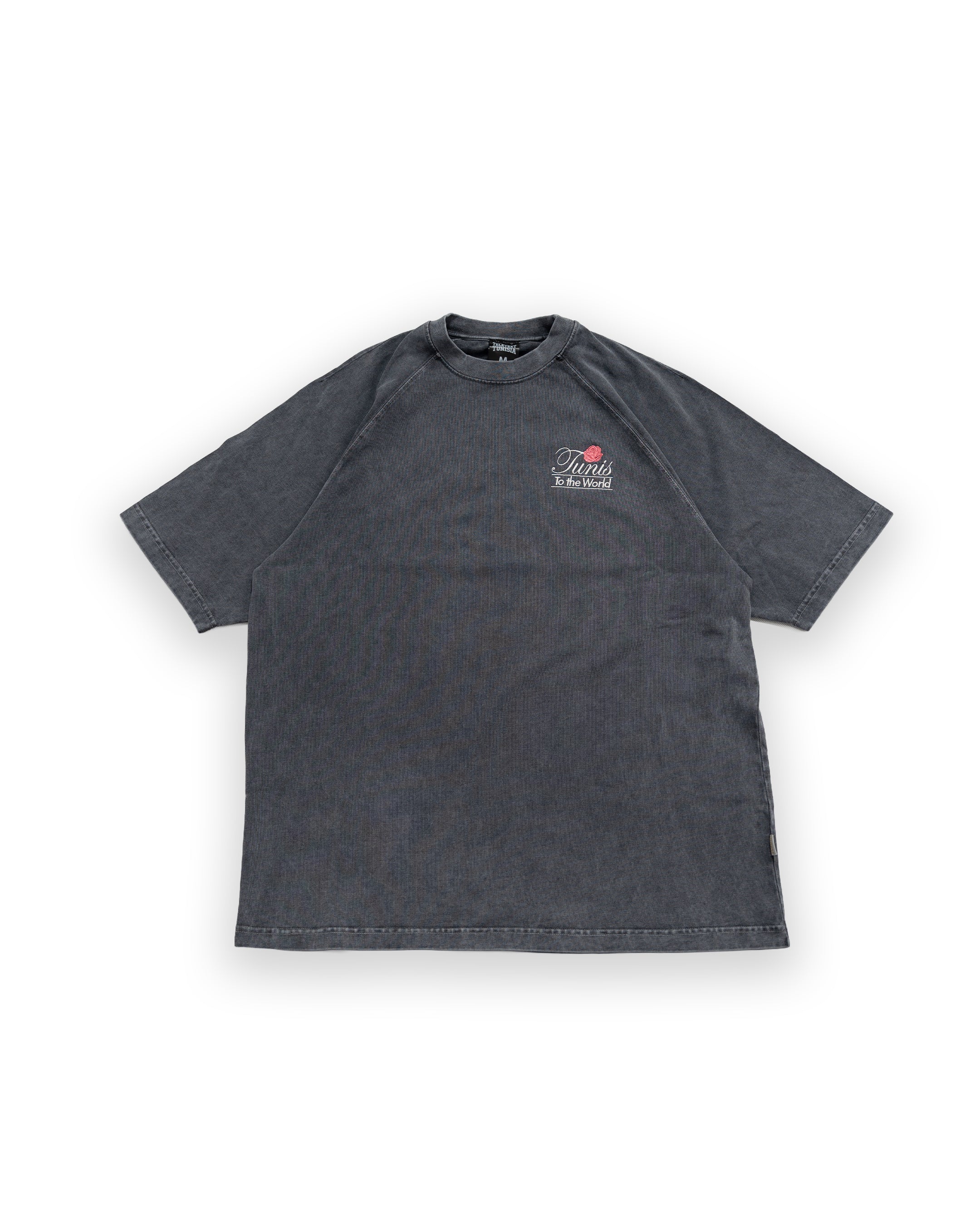 To the World T-Shirt - Acid Grey (APEX™)