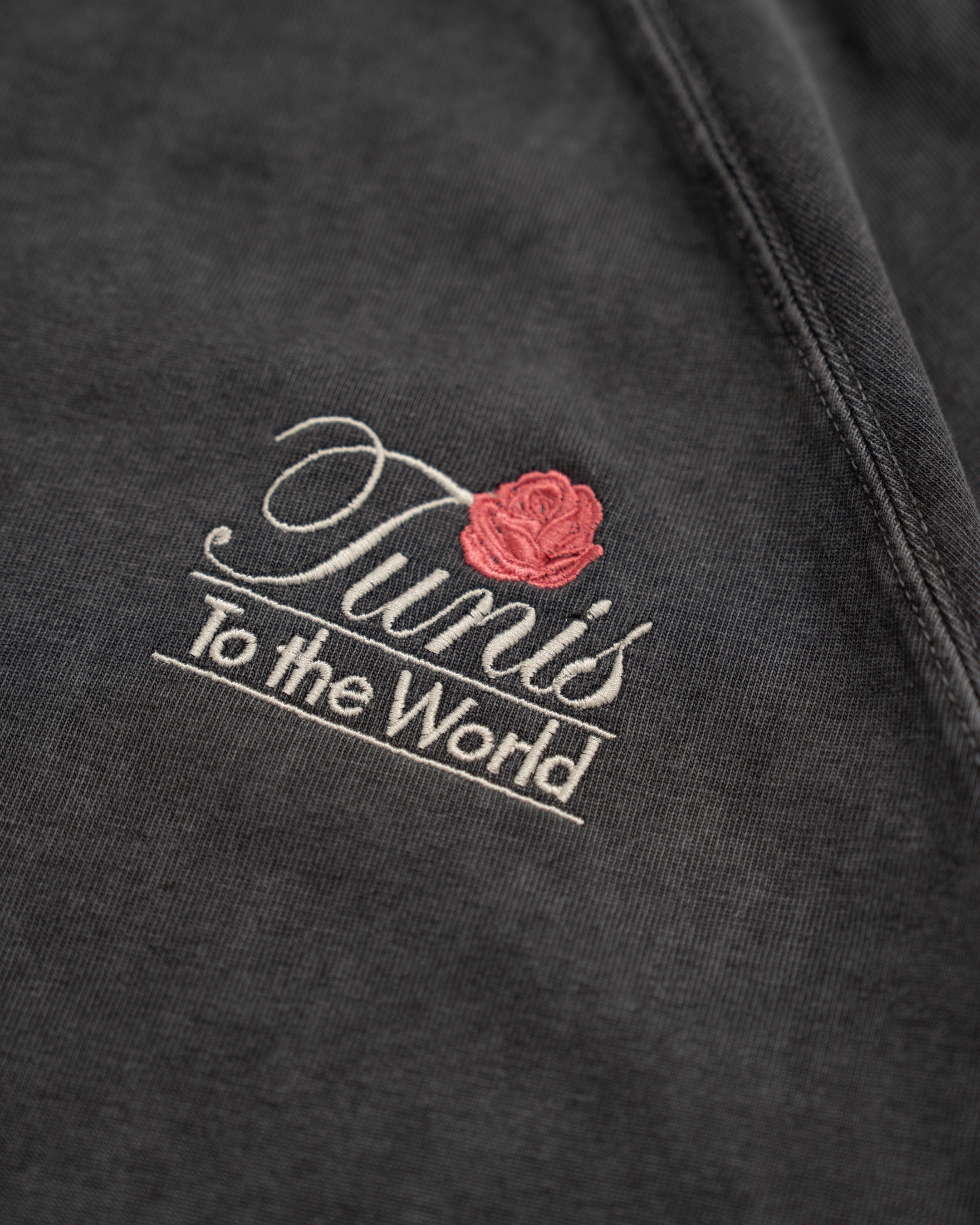 To the World T-Shirt - Acid Grey (APEX™)